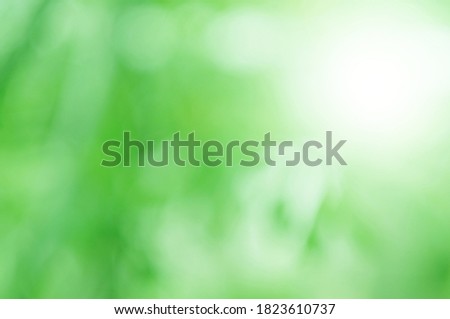Green light leaves blurred and blur natural abstract. Effect sunlight  soft bright shiny style  bokeh circle yellow and orange blurry morning . For wallpaper backdrop and background.