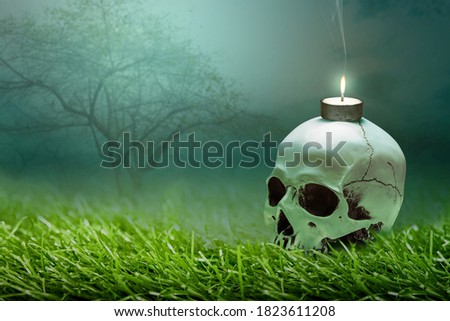Human skull with a burning candle on the green grass with the night scene background