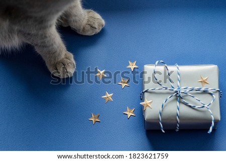 Festive background: a gift in a silver box and gray cat paws on a blue background. Top view, Christmas and New Years greeting card concept. Selective focus