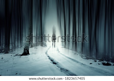 Mysterious man walking through a fairytale forest