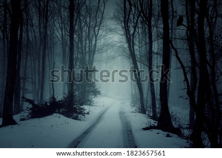 Country road in snowy forest in the mountains at night Royalty-Free Stock Photo #1823657561