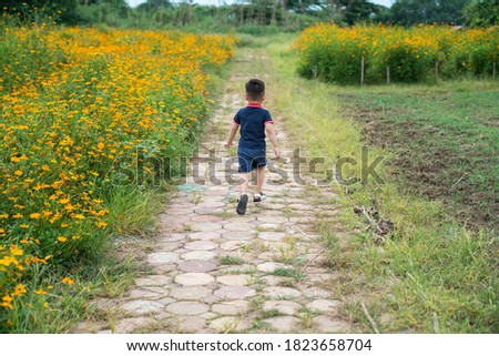 Little boy running on daisy flower field
