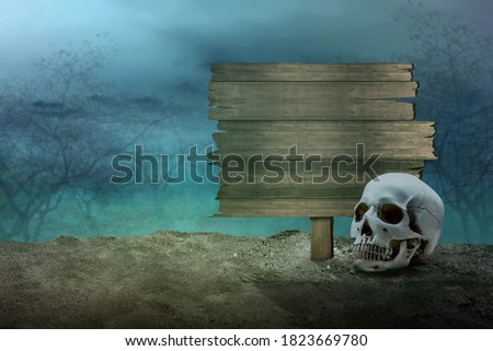 Human skull on the ground with a blank wooden sign with the night scene background