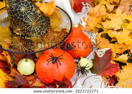 Happy Halloween Orange crop, vegetables, squash. Yellow maple leaves in the Park in autumn in October. A pumpkin head in a black witch hat. Jack's Lantern.Tarantula spiders.all saints day.Copy space