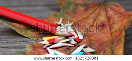 A red pencil with maple leaf, autumn season