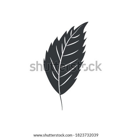 autumn leaves concept, hornbeam leaf icon over white background, silhouette style, vector illustration