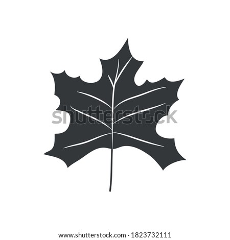 sugar maple leaf icon over white background, silhouette style, vector illustration