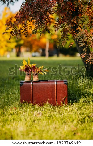 Old brown boots with leaves inside. Boots and brown vintage suitcase in autumn forest. Leather suitcase under the tree. Autumn nature, yellow and red foliage.