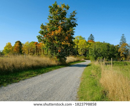 A landscape picture taken in a nice autumn day
