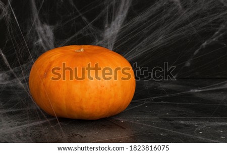 halloween and holiday decorations concept. Pumpkin in spiderweb on black background with space for text.