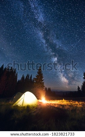 Burning campfire and illuminated tent under bright starry sky on which the Milky Way is clearly visible. Evening camping in valley with large pine trees. Magical night sky