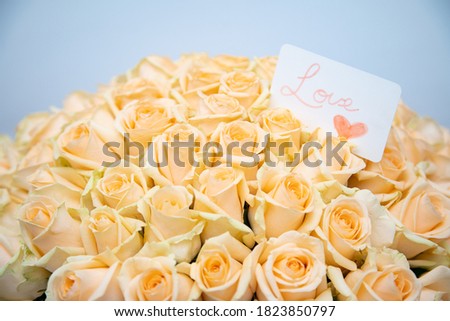 Cream pastel rose with a card that says love