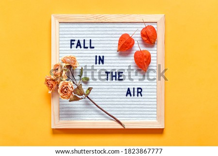 Felt board with text, quote Fall in the air and dried plants - roses, orange flower of physalis alkekengi on yellow background Flat lay Top view Hello autumn concept Holiday card Seasonal composition