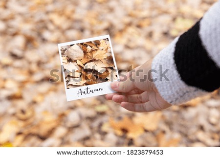 Close up of hand holding a photograph of fallen leaves in autumn.