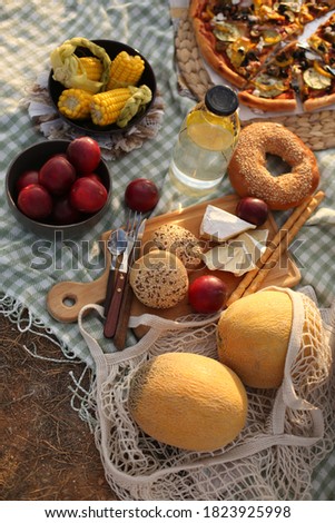 picknick with food and fruits outdoors in nature