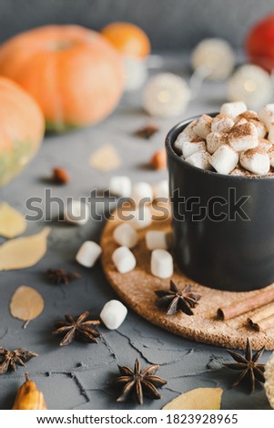Hot chocolate with marshmallow, cocoa powder, star anise and cinnamon served in a black mug. Fall season inspiration