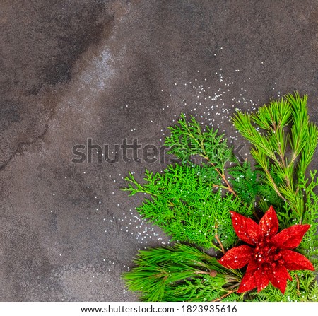 Christmas decoration with red flower and pine trees on the marble background. 