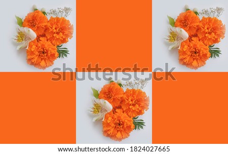 orange flowers on a light background