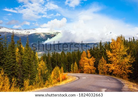 The Rocky Mountains of Canada. Magnificent mountain highway among coniferous forests and orange autumn aspens. Indian summer in Jasper Park. Mount Edith Cavell Road