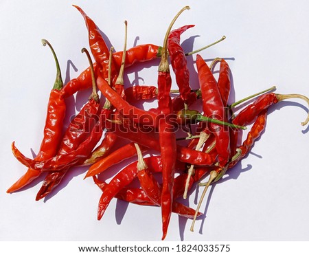 picture of kashmiri chilli (mirch) in isolated white background. selective focus
