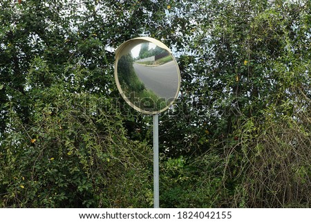 one round mirror on a gray pillar by the road against a background of green vegetation