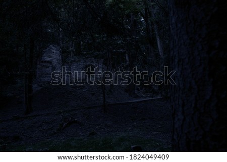 night forest scary wilderness outdoor environment space with ancient castle ruins in the dark Halloween theme concept picture 