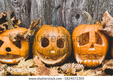 scary pumpkins with different faces and autumn atmosphere on a wooden wall background, a symbol of Halloween Pumpkins