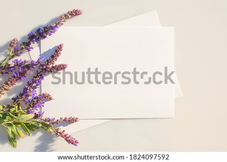 Mockup poster or flyer for advertising or presentation white sheets of paper with a sage flowers on a gray background. Congratulations blank, business cards. Top view, flat lay with copy space