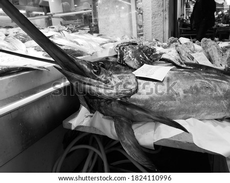 fresh swordfish on a market stall