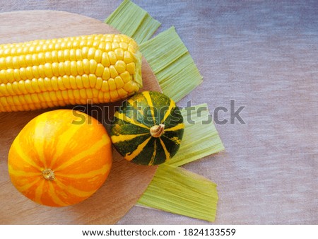 Orange pumpkin, green pumpkin and yellow corn on a wooden plank on corn leaves on a textile background. Copy space.