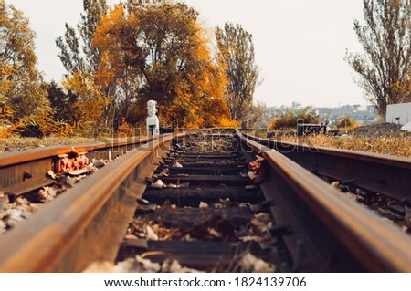 Autumn sunny landscape. Railroad in the park. Autumn park of trees and fallen leaves on the ground in the park on a sunny October day. Template for design. Copy space.