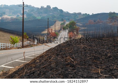 Fields Scorched by Wildfire Northern California Royalty-Free Stock Photo #1824152897