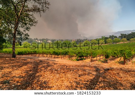 Napa Valley Vineyards Engulfed by Wildfire Royalty-Free Stock Photo #1824153233