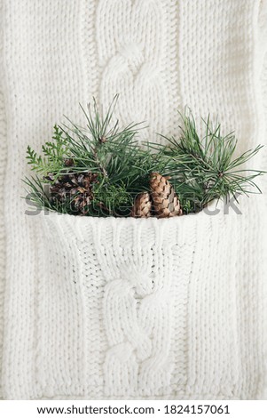 Christmas pine branches with cones in knitted pocket of knitted woolen fabric. Christmas, holiday, winter concept. Vertical image