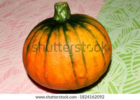 Orange bright pumpkin with green stripes on a pink - green background.