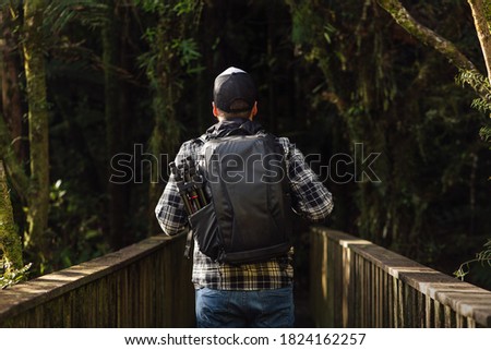young man walking with backpack and getting into the woods. His back is turned, unrecognizable person