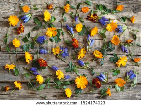 Autumn background.Dry yellow autumn leaves with yellow and blue flowers on a wooden ancient background.