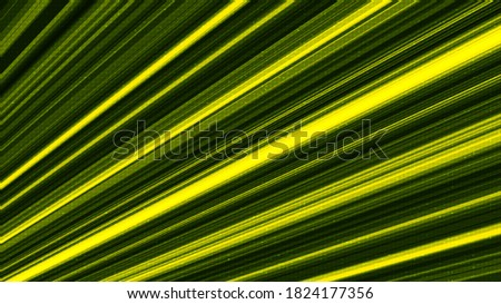 Speed Green Light Technology Background,Digital and Connection Concept design,Vector illustration.