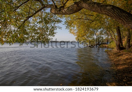 Autumn by the lake. The lake is surrounded by deciduous trees covered with yellow leaves illuminated by the sun.