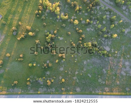 Aerial top down view of meadow with green grass and many groups of trees near road. Air shot of the field with many free standing trees on edge of the highway. 