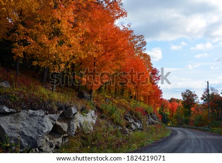 North american fall landscape path road in eastern township Quebec province Canada