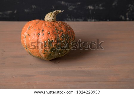 Ugly pumpkin with warts on a dark background. Place for a copy space