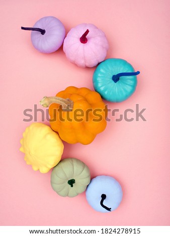 Creative background of various colourful pumpkins on a pink background. Bright hand-dyed pumpkins flat lay. Autumn Thanksgiving background. Space for text.