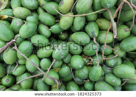 Spondias dulcis, known commonly as ambarella in Sri Lanka or June plum, is an equatorial or tropical tree, with edible fruit containing a fibrous pit.
