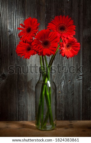 Closup Photo of Shinny Red Gerbera Flowers in Glass Vase
