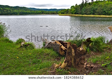 An old stump on the shore of a mountain lake under a cloudy sky.