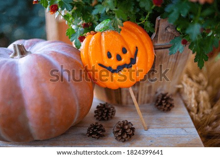  Autumn decoration for Halloween with pumpkin. 