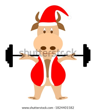 Vector image of a bull in a santa claus costume. The bull plays sports and holds a barbell on his shoulders