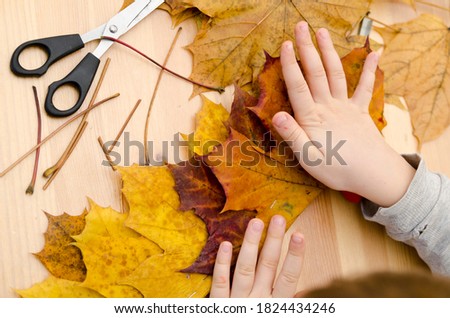 Boy playing with autumn leaves. Preparations for autumn craft with kids. Learning children at home, fall nature collage.