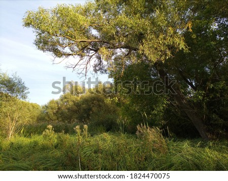 A beautiful autumn rural landscape. A sunny day. Landscape in the countryside